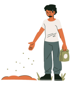 النباتات والبذور والمصابيح